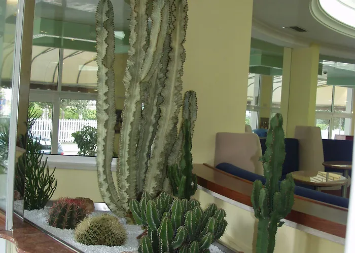 Coppe Lido di Jesolo