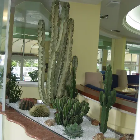 Coppe Lido di Jesolo